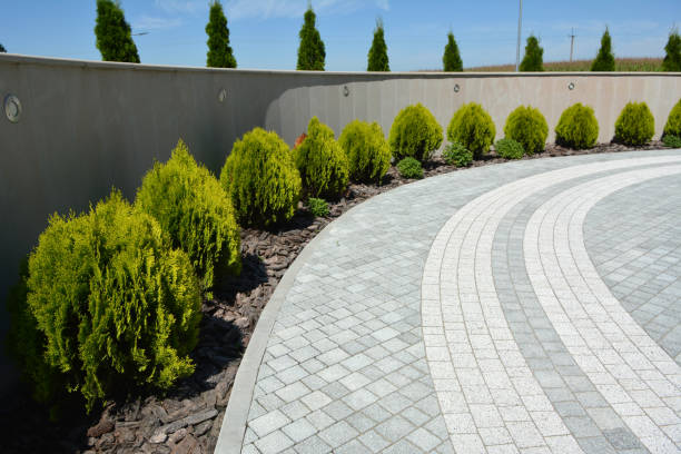 Best Permeable Paver Driveway  in Fabrica, TX